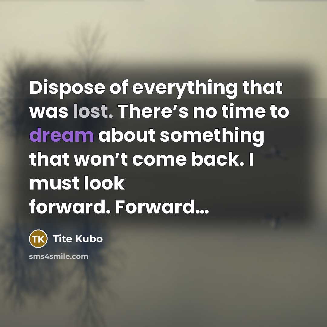 “Dispose of everything that was lost. There’s no time to dream about something that won’t come back. I must look forward. Forward…” quote by Tite Kubo