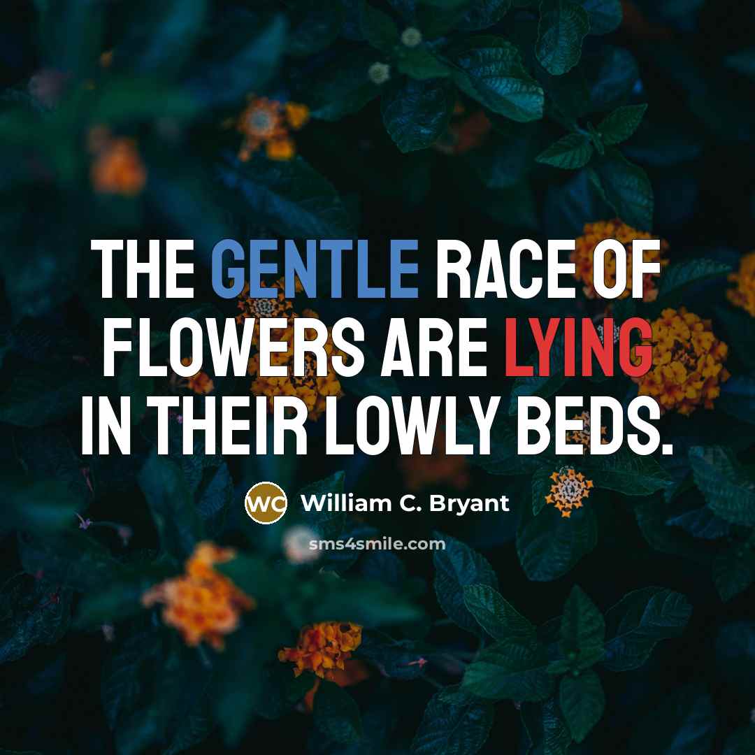 “The gentle race of flowers Are lying in their lowly…” quote by William C. Bryant