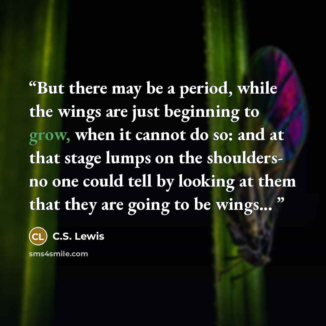 “But there may be a period, while the wings are just beginning to grow, when it cannot do so: and at that stage lumps on the shoulders- no one could tell by looking at them that they are going to be wings...” quote by C.S. Lewis
