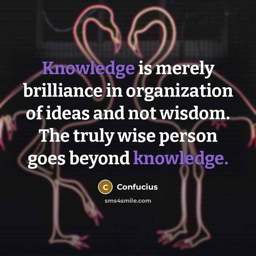 “Knowledge is merely brilliance in organization of ideas and not…” quote by Confucius