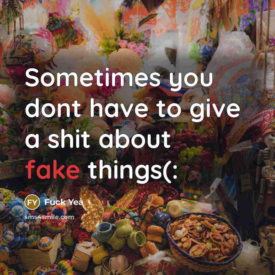 “Sometimes you dont have to give a shit about fake things(:” quote by Fuck Yea
