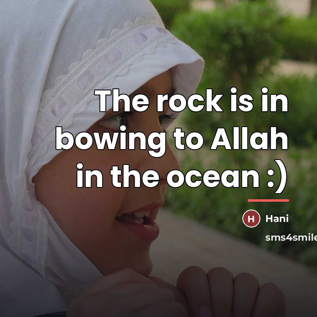 “The rock is in bowing to Allah in the ocean…” quote by Hani