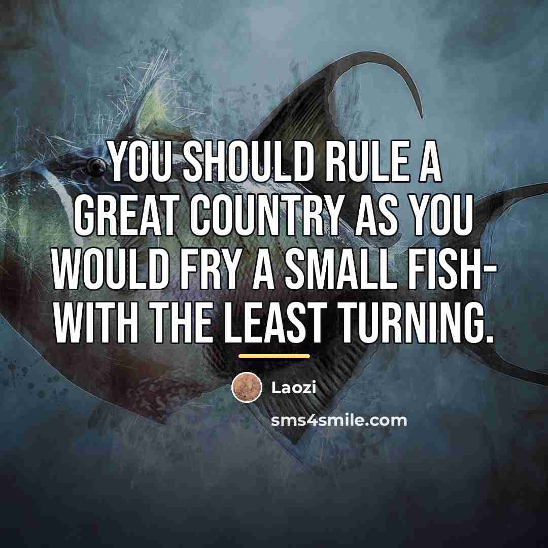 “You should rule a great country As you would fry…” quote by Laozi