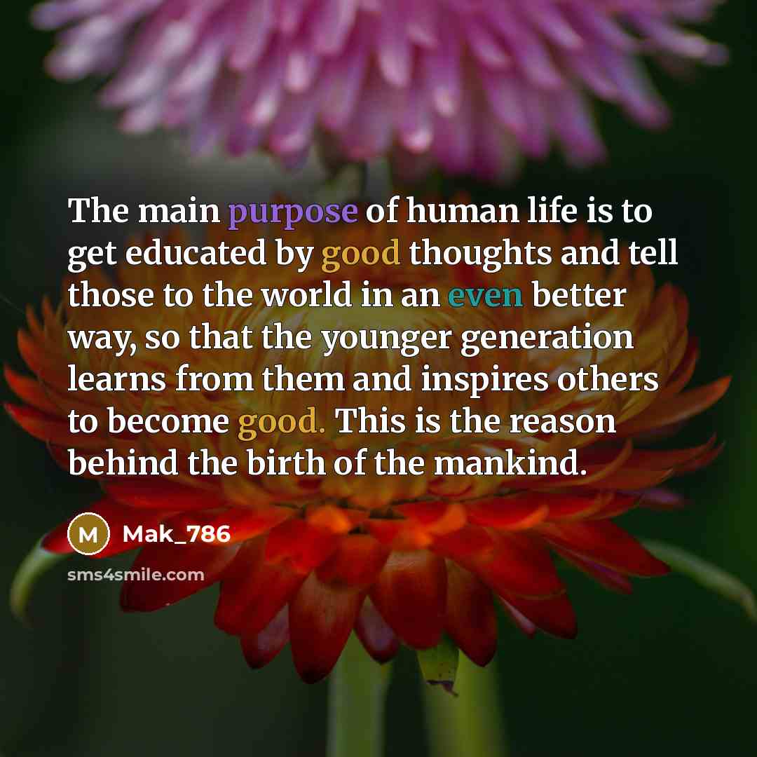 “The main purpose of human life is to get educated…” quote by Mak_786