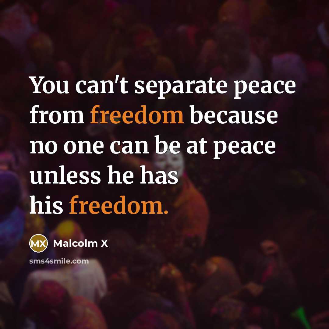 “You can't separate peace from freedom because no one can…” quote by Malcolm X