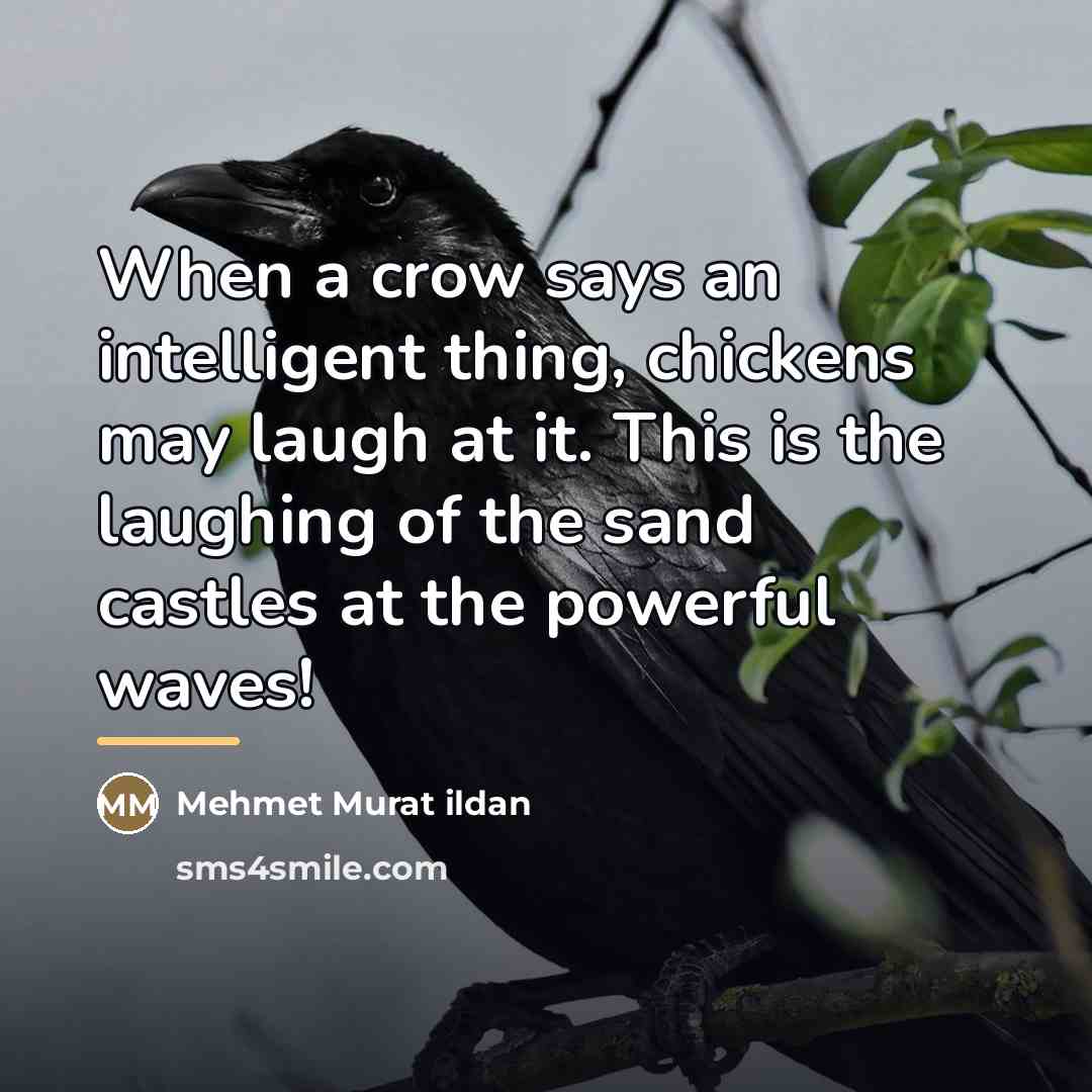 “When a crow says an intelligent thing, chickens may laugh…” quote by Mehmet Murat Ildan