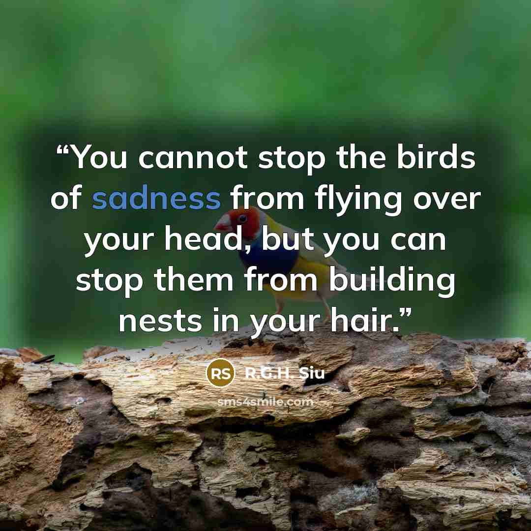 “You cannot stop the birds of sadness from flying over your head, but you can stop them from building nests in your hair.” quote by R.G.H. Siu