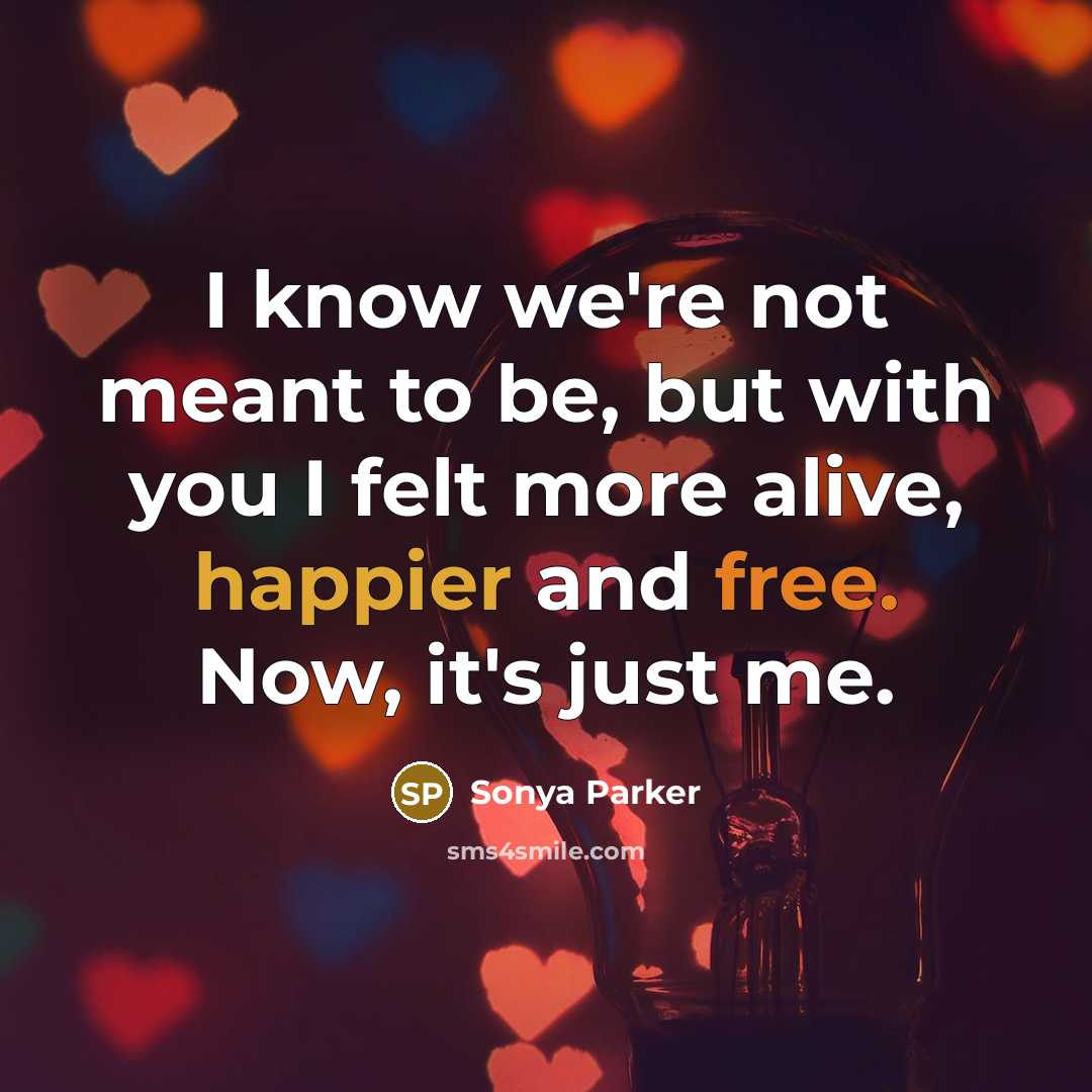 “I know we're not meant to be, but with you…” quote by Sonya Parker