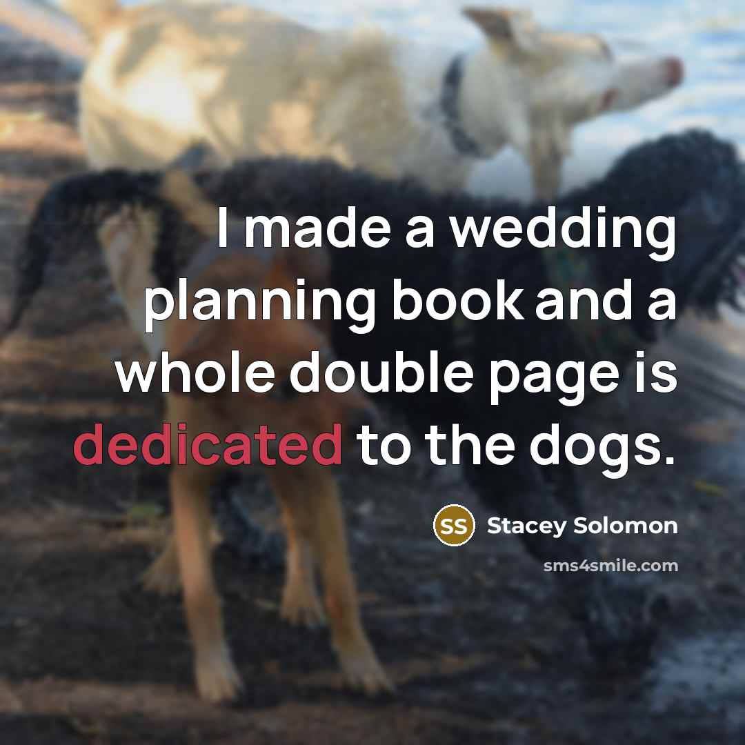 “I made a wedding planning book and a whole double…” quote by Stacey Solomon