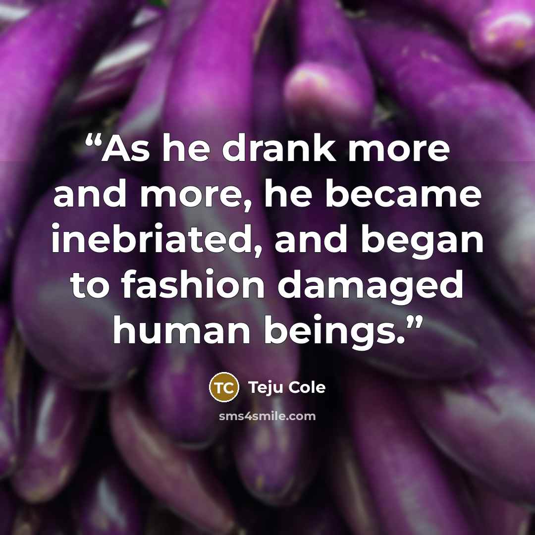 “As he drank more and more, he became inebriated, and began to fashion damaged human beings.” quote by Teju Cole