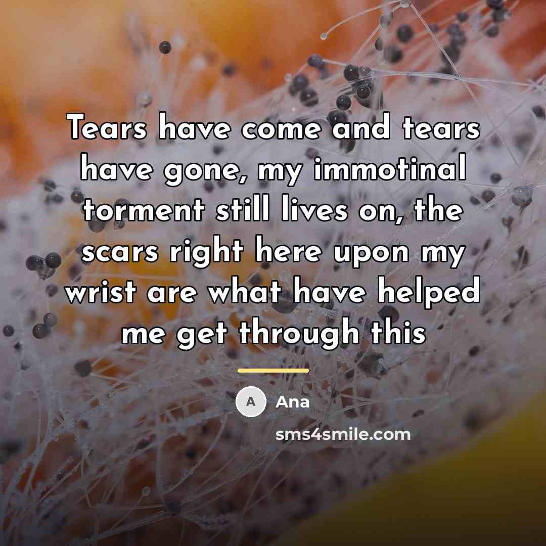 “Tears have come and tears have gone, my immotinal torment…” quote by Ana