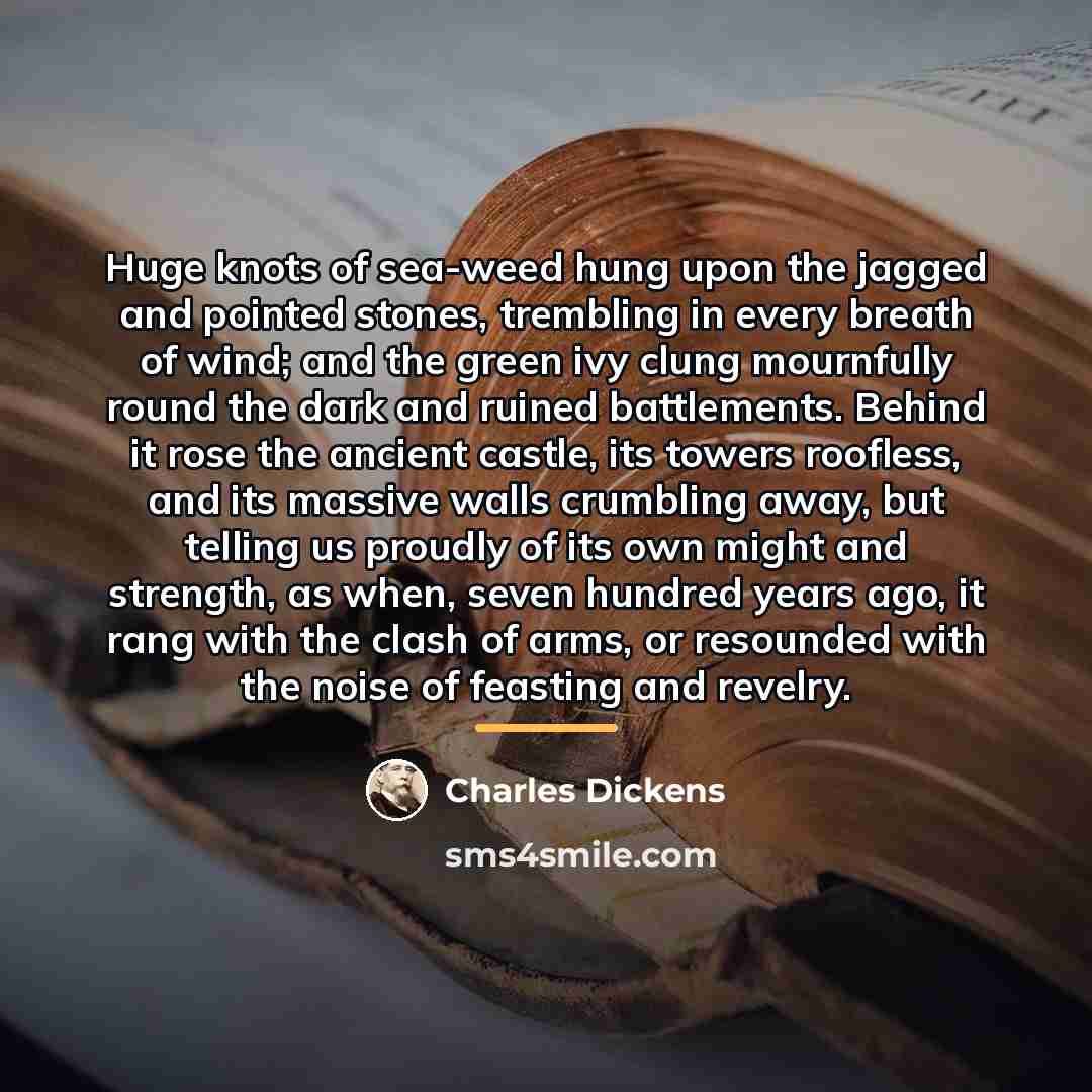 “Huge knots of sea-weed hung upon the jagged and pointed…” quote by Charles Dickens