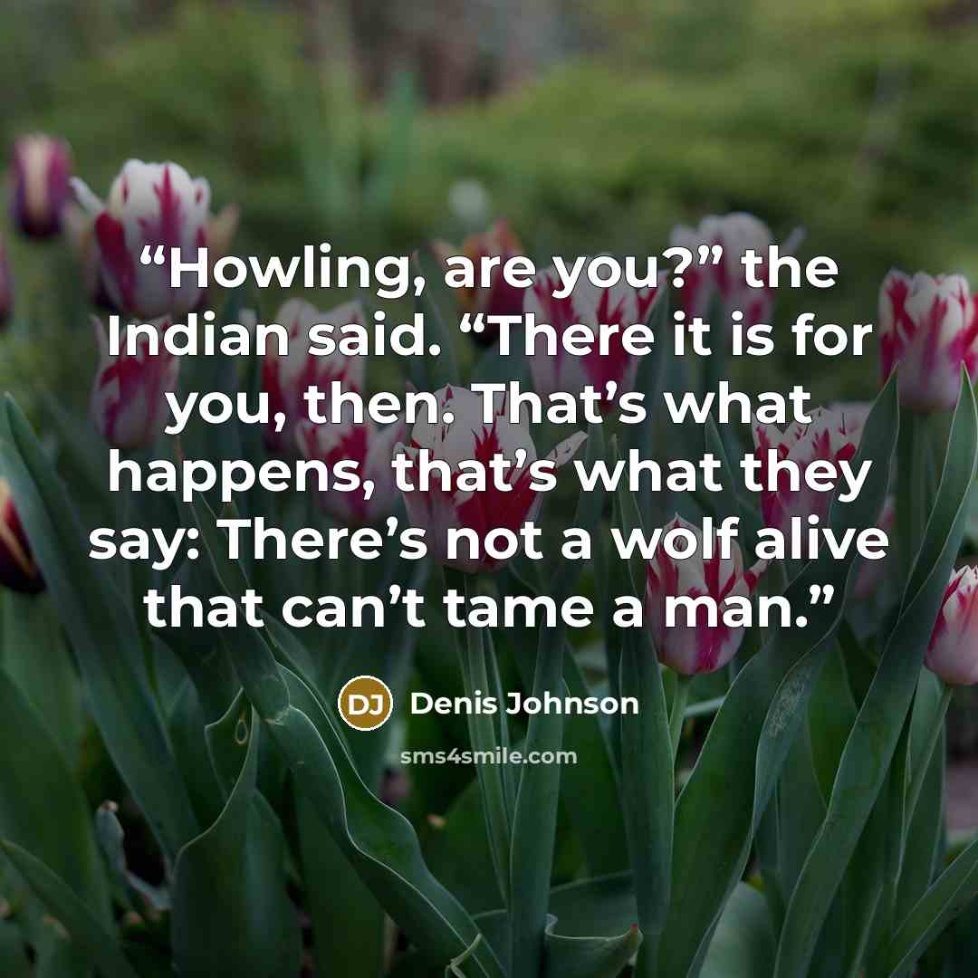 “Howling, are you?” the Indian said. “There it is for you, then. That’s what happens, that’s what they say: There’s not a wolf alive that can’t tame a man.” quote by Denis Johnson