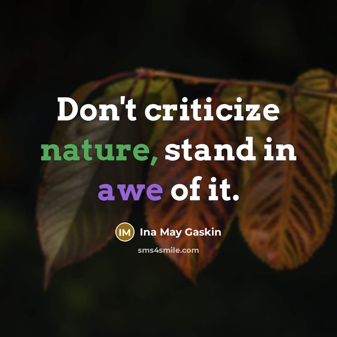 “Don't criticize nature, stand in awe of it.…” quote by Ina May Gaskin