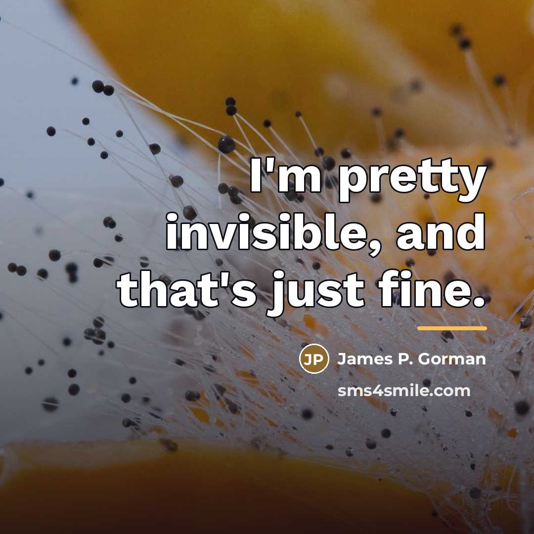 “I'm pretty invisible, and that's just fine.…” quote by James P. Gorman