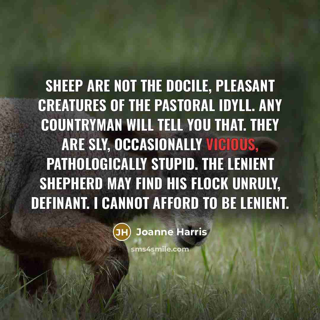 “Sheep are not the docile, pleasant creatures of the pastoral…” quote by Joanne Harris