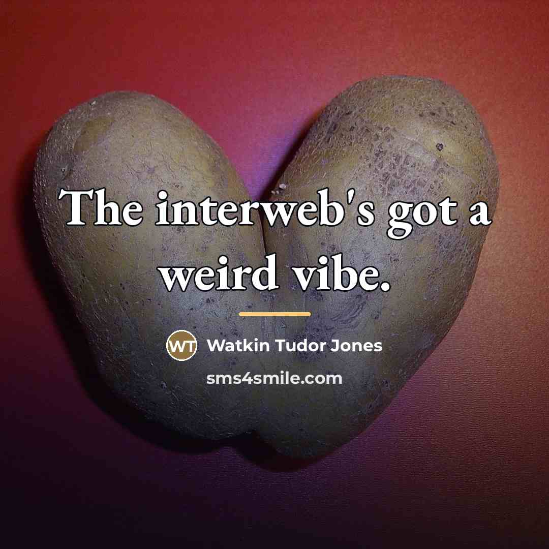 “The interweb's got a weird vibe.…” quote by Watkin Tudor Jones