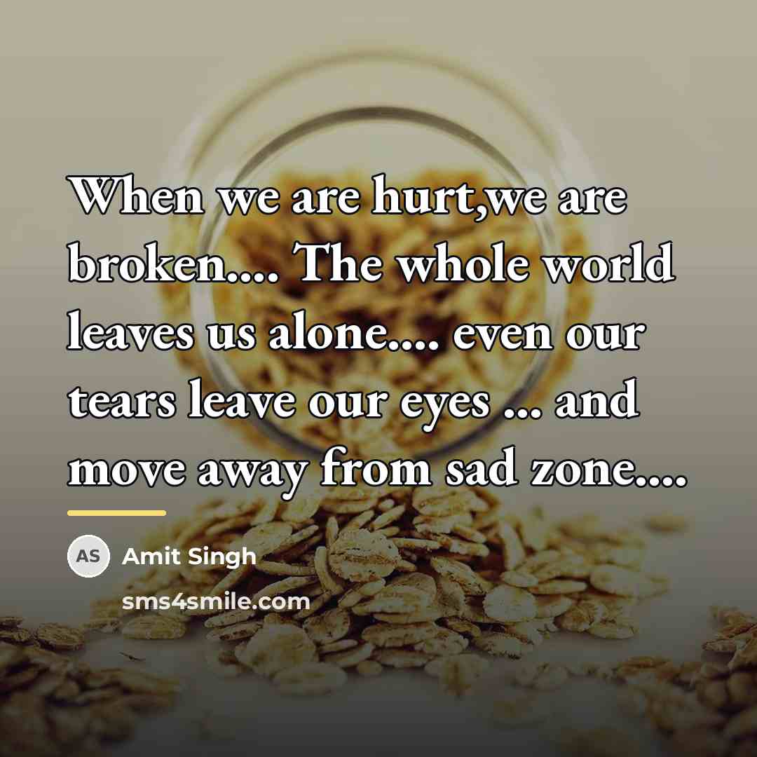 “When we are hurt,we are broken.... The whole world leaves…” quote by Amit Singh