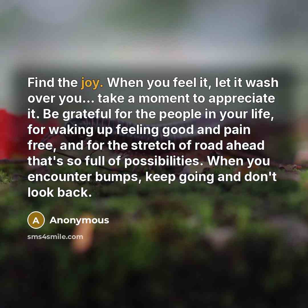“Find the joy. When you feel it, let it wash…” quote by Anonymous