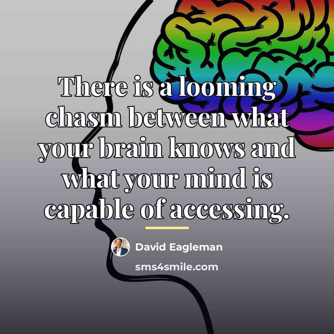 “There is a looming chasm between what your brain knows…” quote by David Eagleman