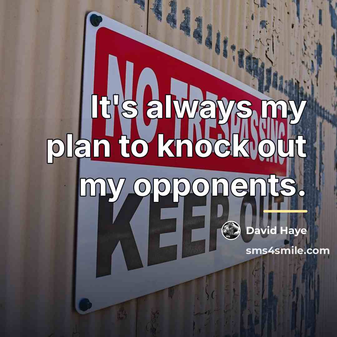 “It's always my plan to knock out my opponents.…” quote by David Haye