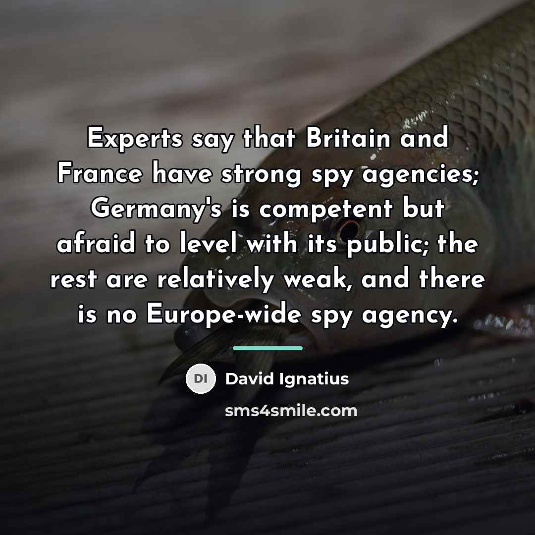 “Experts say that Britain and France have strong spy agencies;…” quote by David Ignatius