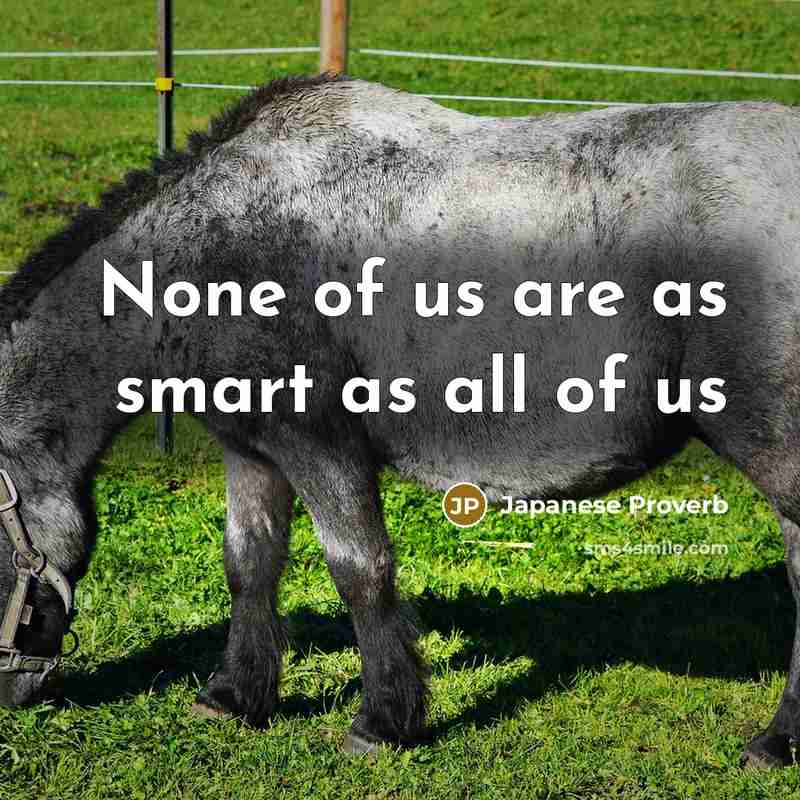 “None of us are as smart as all of us…” quote by Japanese Proverb