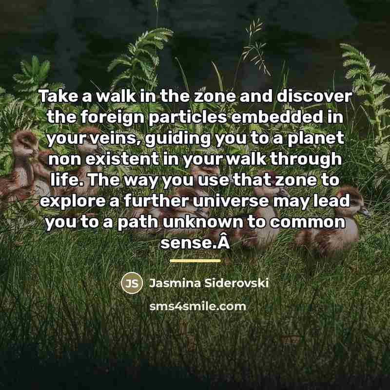 “Take a walk in the zone and discover the foreign…” quote by Jasmina Siderovski