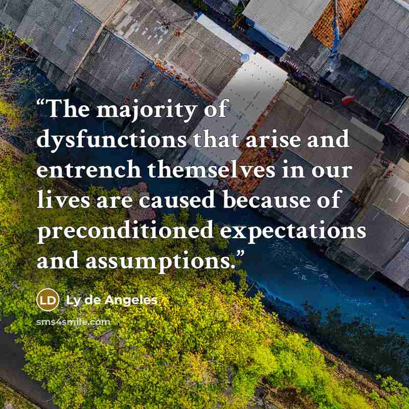 “The majority of dysfunctions that arise and entrench themselves in our lives are caused because of preconditioned expectations and assumptions.” quote by Ly de Angeles