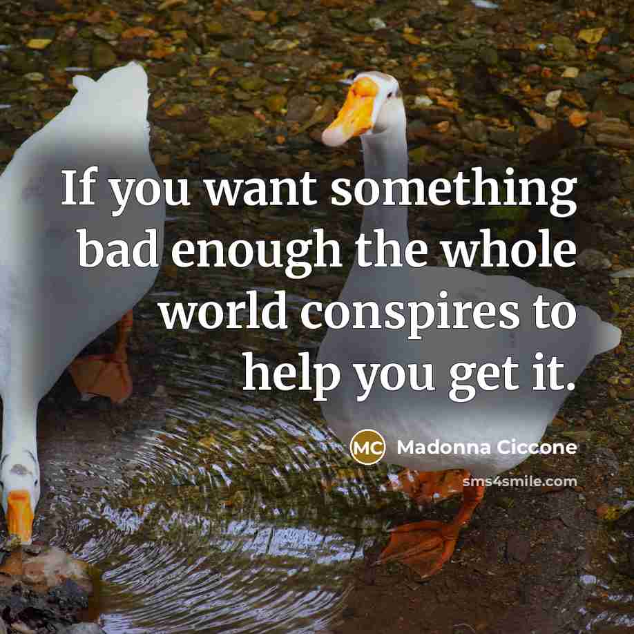 “If you want something bad enough the whole world conspires…” quote by Madonna Ciccone
