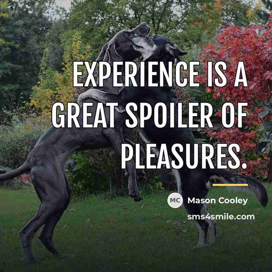 “Experience is a great spoiler of pleasures.…” quote by Mason Cooley