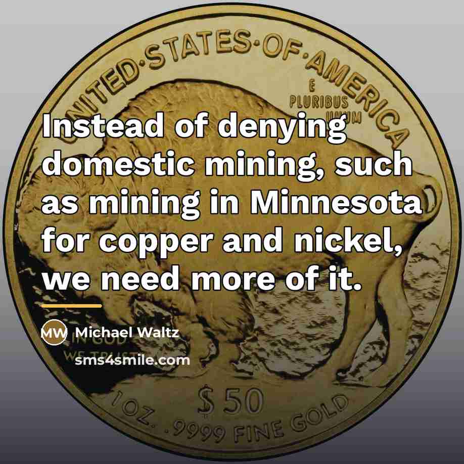 “Instead of denying domestic mining, such as mining in Minnesota…” quote by Michael Waltz
