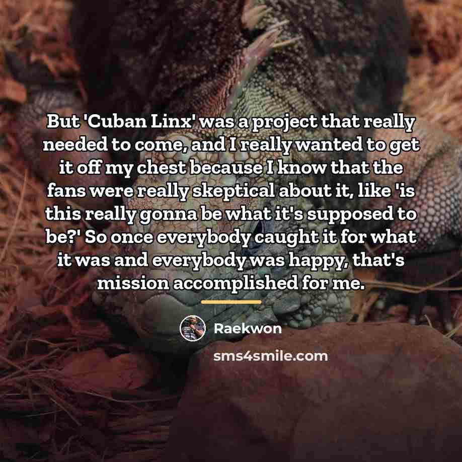 “But 'Cuban Linx' was a project that really needed to…” quote by Raekwon