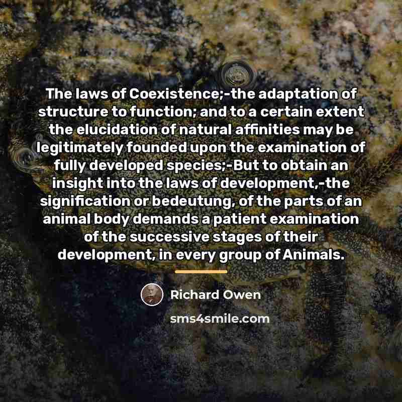“The laws of Coexistence;-the adaptation of structure to function; and…” quote by Richard Owen