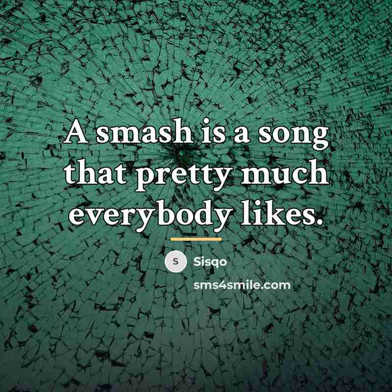 “A smash is a song that pretty much everybody likes.…” quote by Sisqo