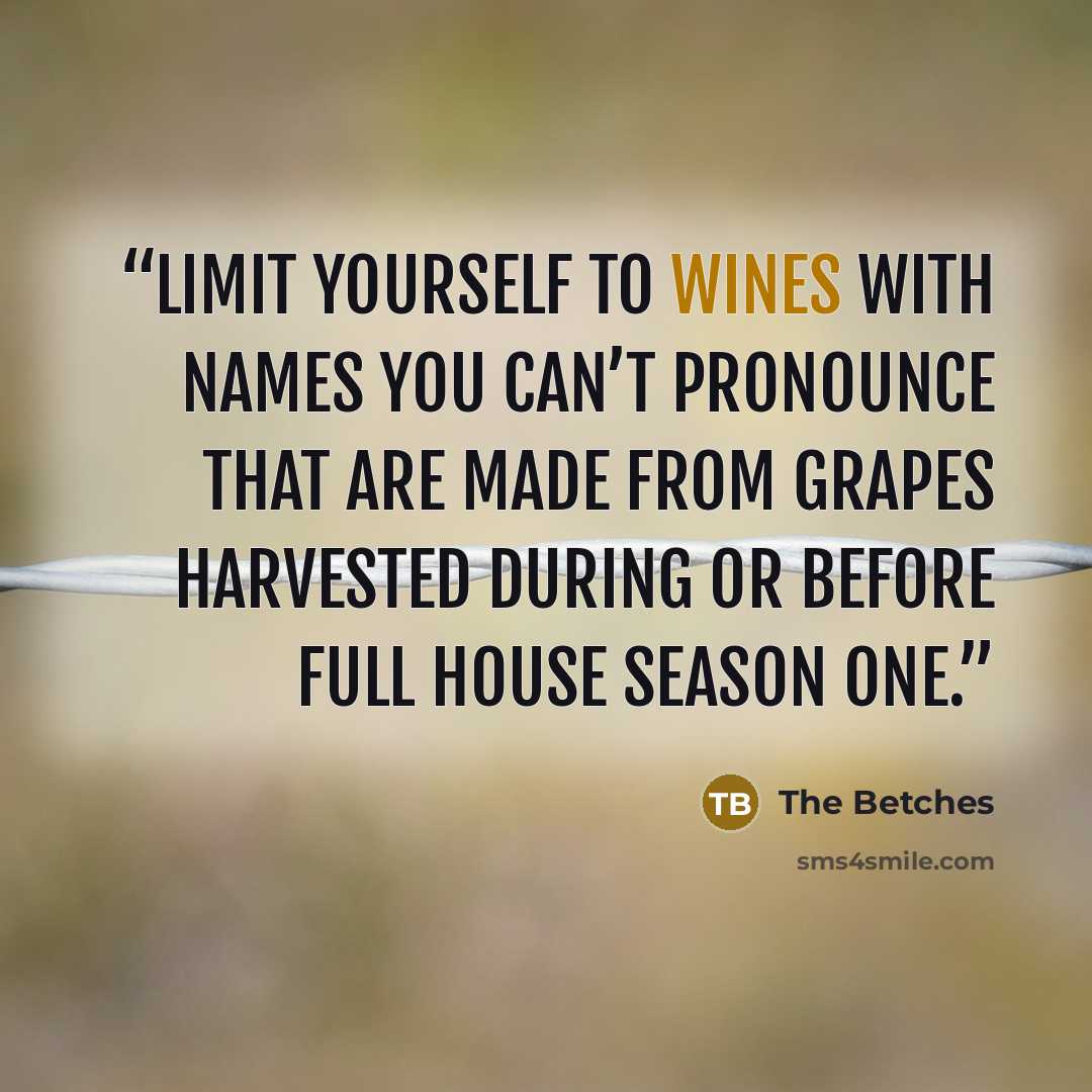“Limit yourself to wines with names you can’t pronounce that are made from grapes harvested during or before Full House season one.” quote by The Betches