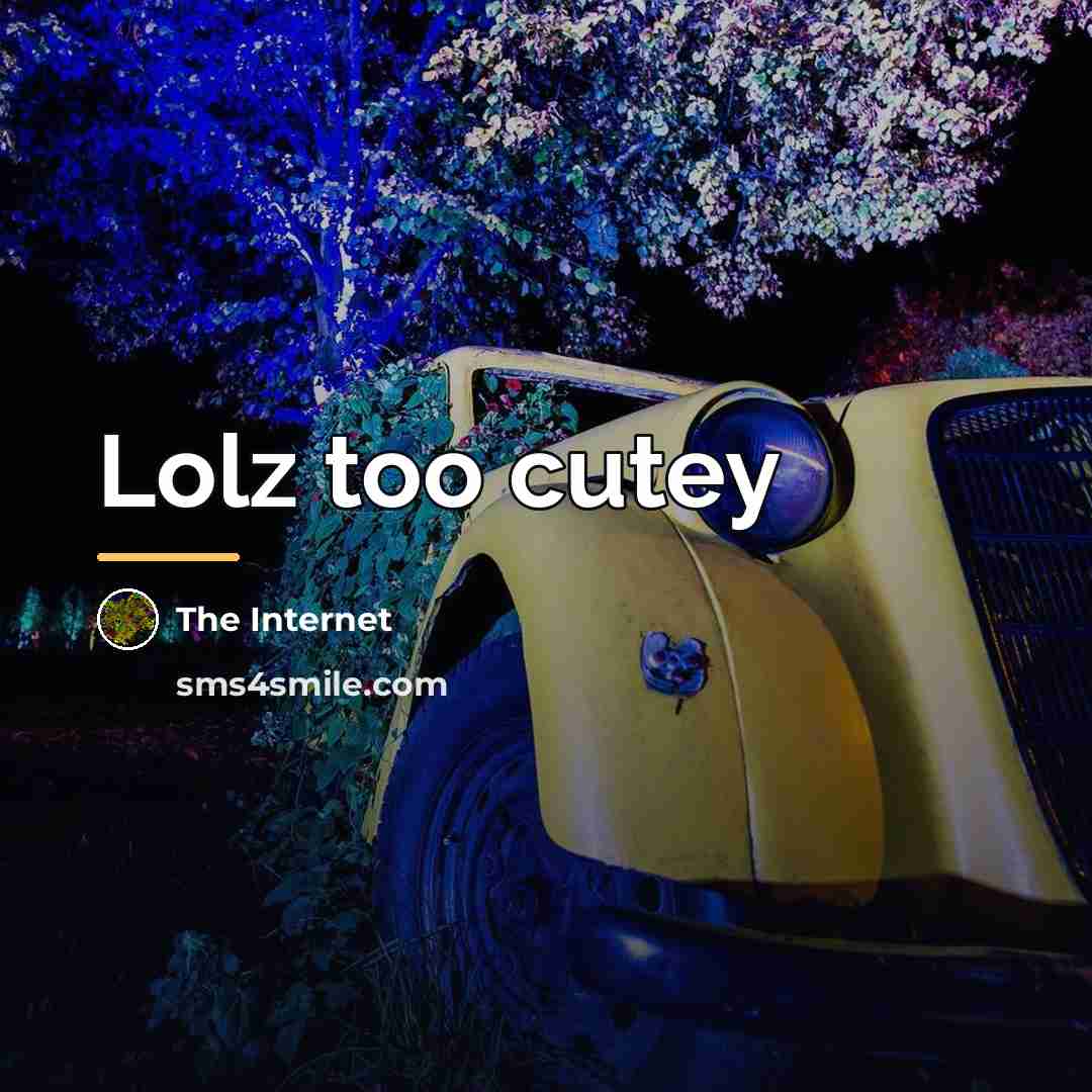 “Lolz too cutey…” quote by The Internet