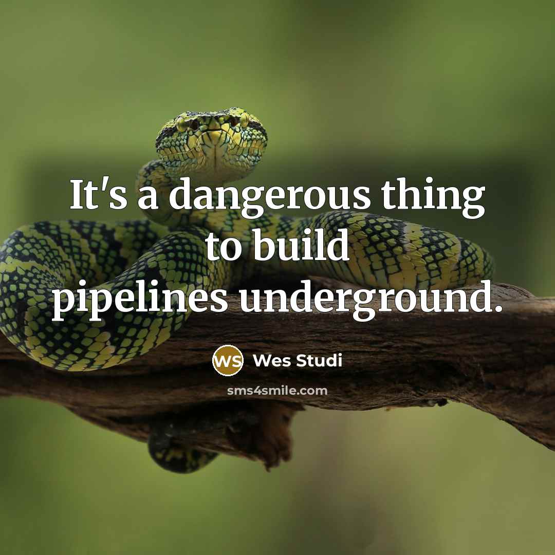 “It's a dangerous thing to build pipelines underground.…” quote by Wes Studi