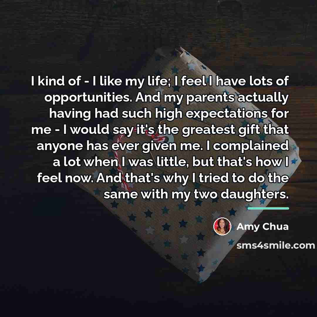 “I kind of - I like my life; I feel…” quote by Amy Chua