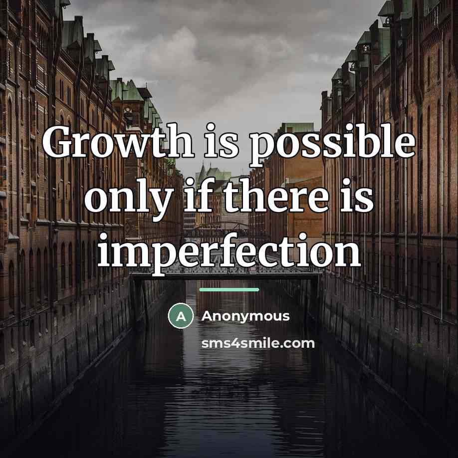 “Growth is possible only if there is imperfection…” quote by Anonymous
