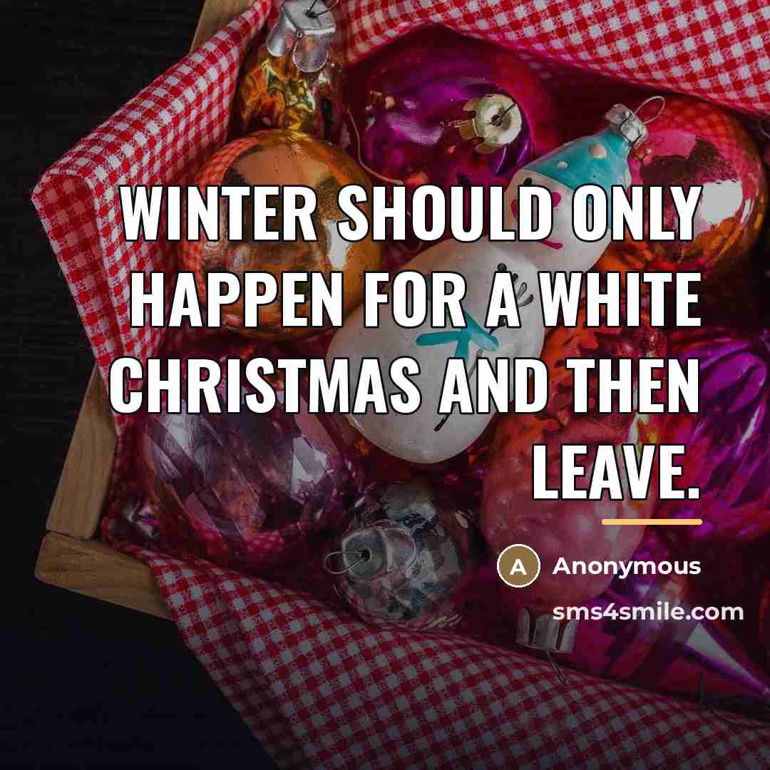 “Winter should only happen for a white Christmas and then…” quote by Anonymous