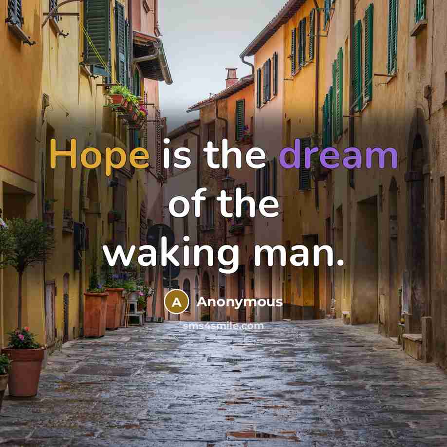 “Hope is the dream of the waking man.” quote by Anonymous
