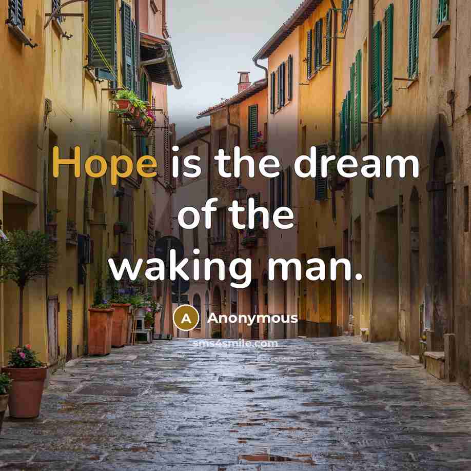 “Hope is the dream of the waking man.…” quote by Anonymous