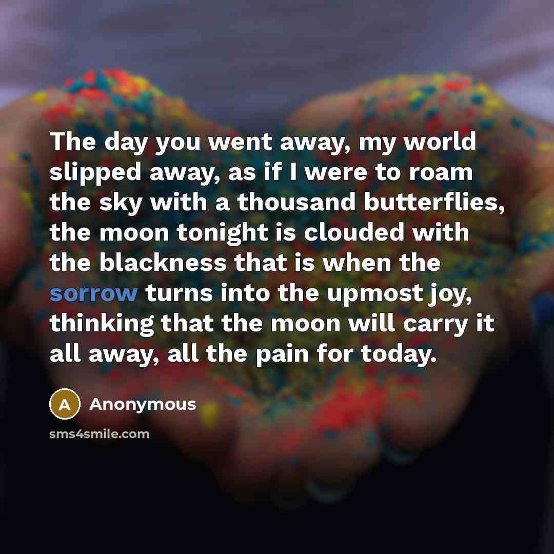 “The day you went away, my world slipped away, as…” quote by Anonymous