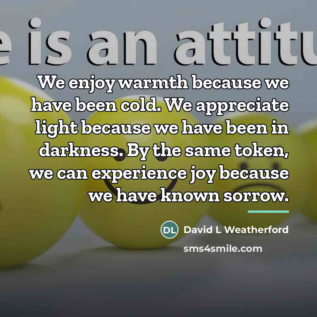 “We enjoy warmth because we have been cold. We appreciate…” quote by David L Weatherford