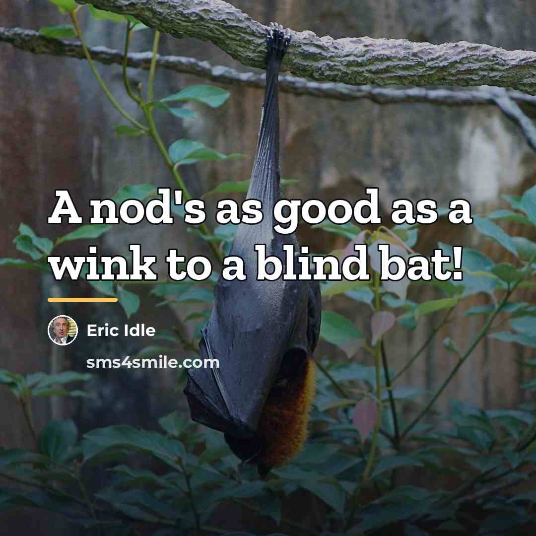 “A nod's as good as a wink to a blind…” quote by Eric Idle