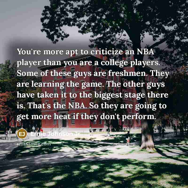 “You're more apt to criticize an NBA player than you…” quote by Ernie Johnson Jr