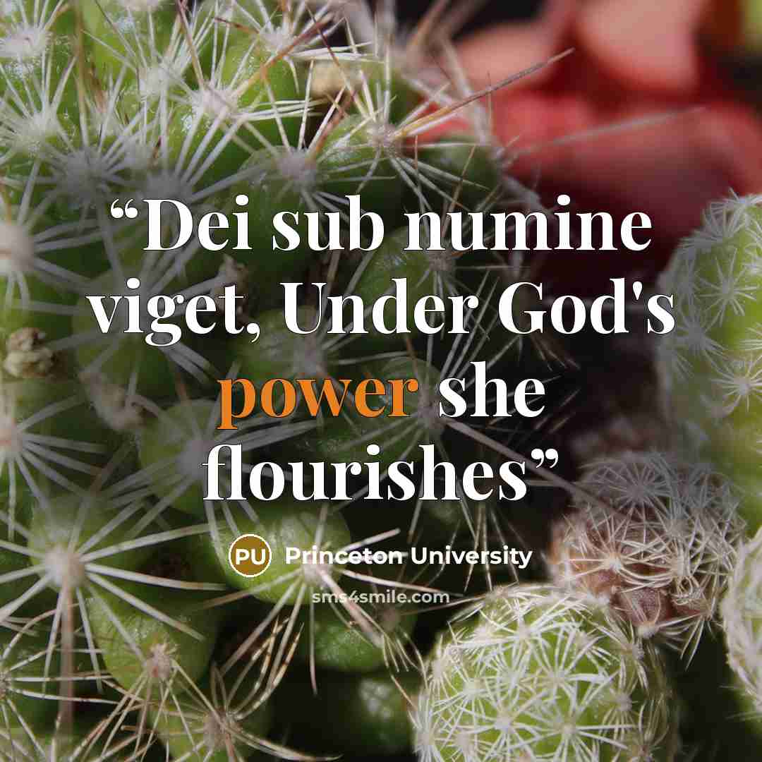 “Dei sub numine viget, Under God's power she flourishes” quote by Princeton University