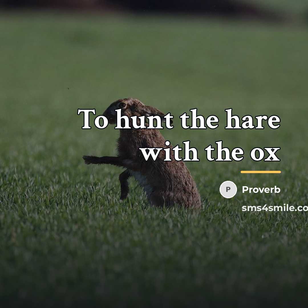 “To hunt the hare with the ox…” quote by Proverb