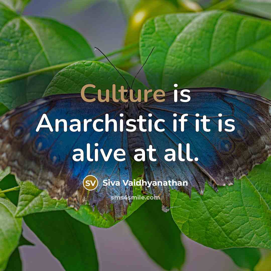 “Culture is Anarchistic if it is alive at all.…” quote by Siva Vaidhyanathan
